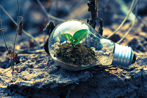 Est-ce meilleur pour l&rsquo;environnement d&rsquo;être incinéré ou enterré ?
