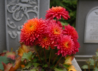 Quelles fleurs mettre sur une tombe ?