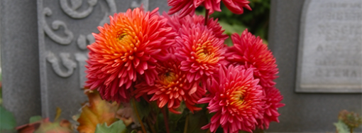 Quelles fleurs mettre sur une tombe ?