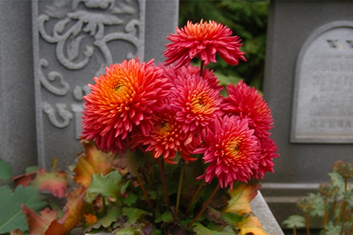 Quelles fleurs mettre sur une tombe ?